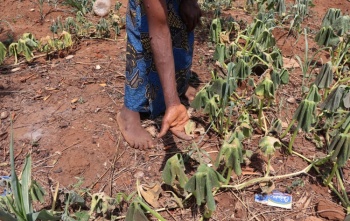 Hoffnung und Bildung in Malawi
