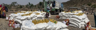 Essensvorräte in TIgray