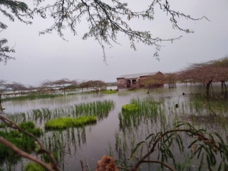 Hoffnung und Bildung in Malawi