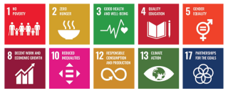 SDGs